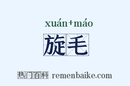 旋毛是什么意思的图片